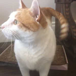 Meet your Posher, Pierce